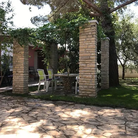 Strandnahes Haus Lolinka Mit Schattiger Terrasse * Bibinje