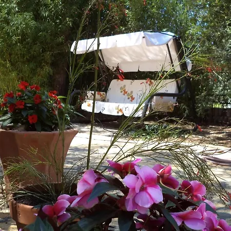 Strandnahes Haus Lolinka Mit Schattiger Terrasse Bibinje