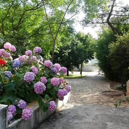 Ferienhaus Strandnahes Haus Lolinka Mit Schattiger Terrasse